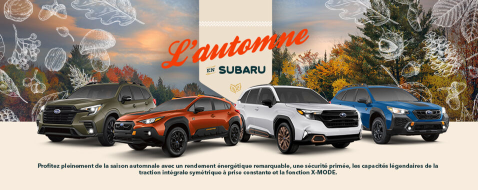 Découvrez nos offres, ventes et promotions spéciales ici!
